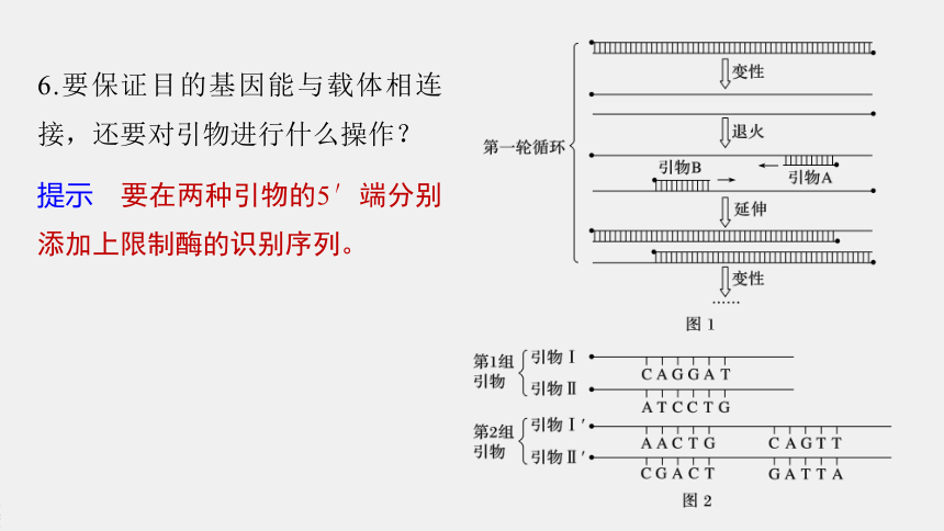 高中生物苏教版（2019）选择性必修3第三章 第一节　第2课时　PCR技术和利用PCR技术扩增DNA片段并完成电泳鉴定（76张PPT）