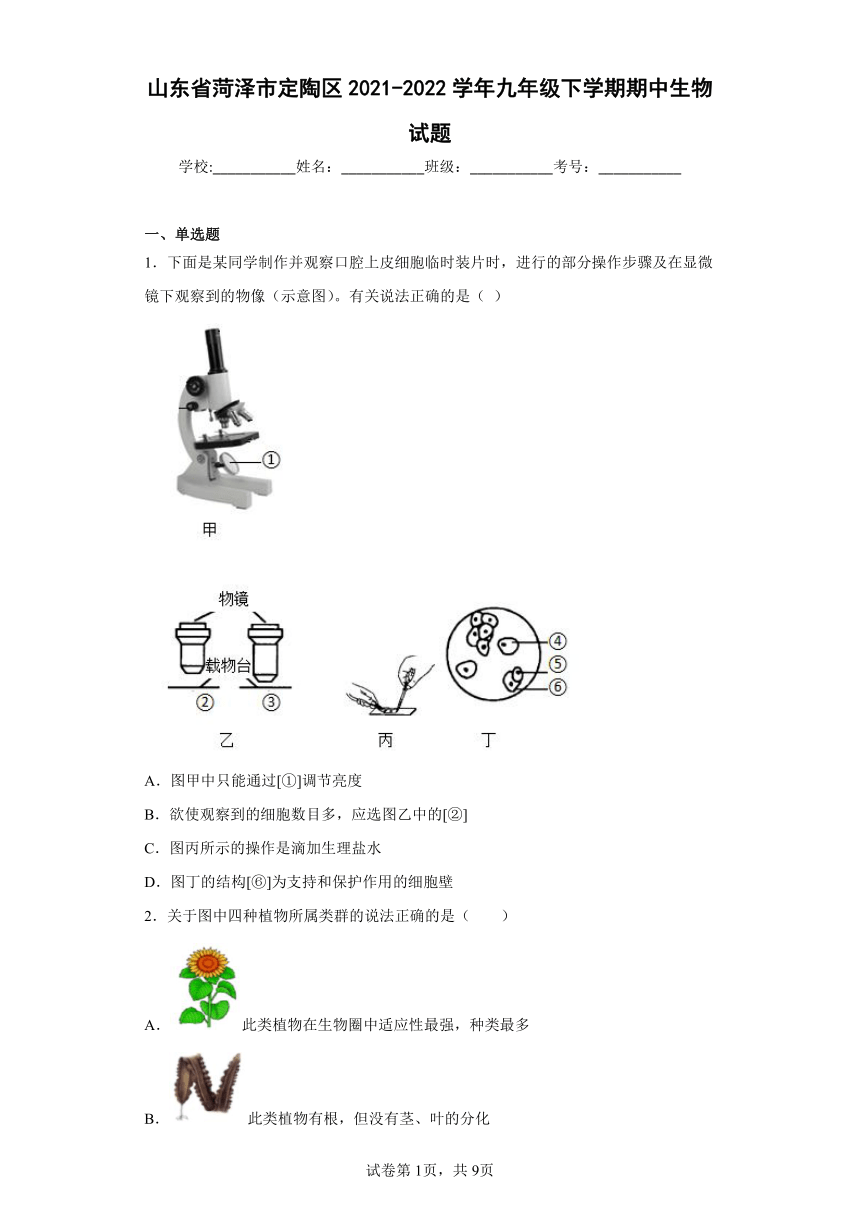 山东省菏泽市定陶区2021-2022学年九年级下学期期中生物试题(含答案)