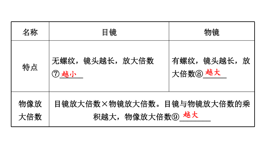 2.1  细胞是生命活动的基本单位期末复习课件(共44张PPT)