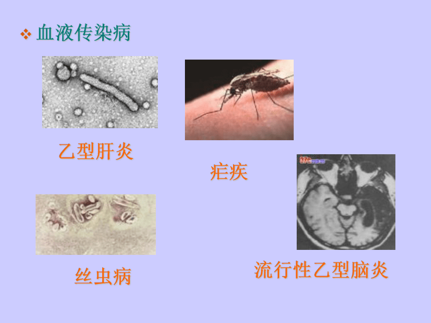 苏教版八年级下册生物 25.1传染病 课件（共36张PPT）