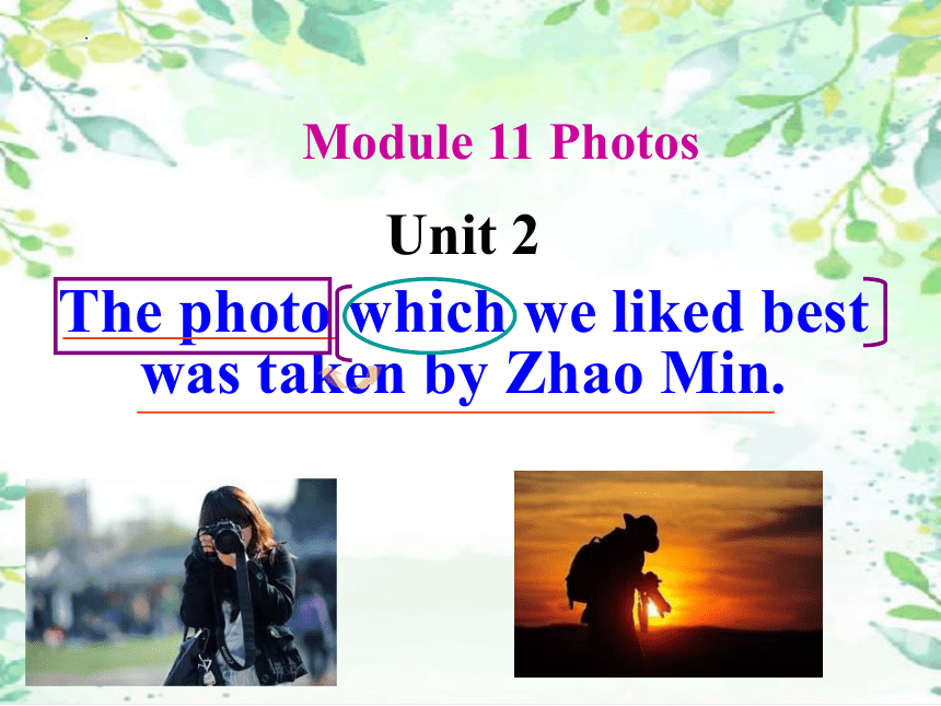 Module 11 Unit 2 The photo which we liked best was taken by Zhao Min课件(共25张PPT) 2022-2023 学年九年级英语外研版