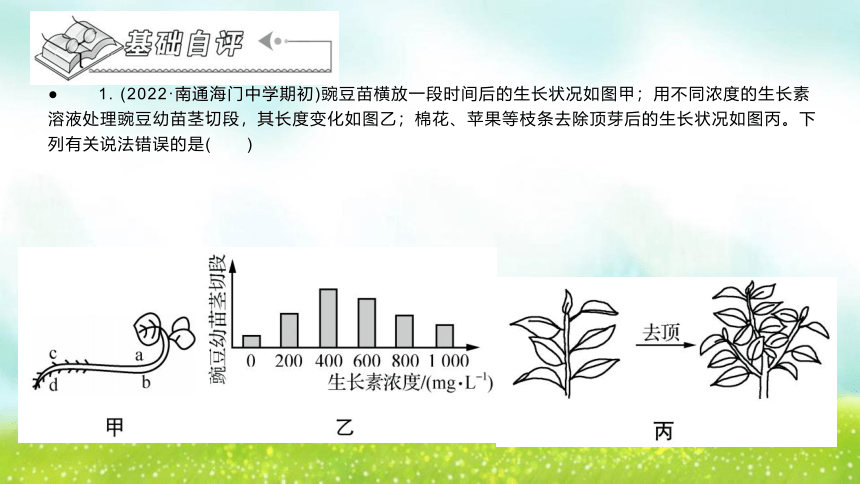 【二轮专题课件】专题5 稳态与调节 第3讲 植物生命活动的调节(共36张PPT)