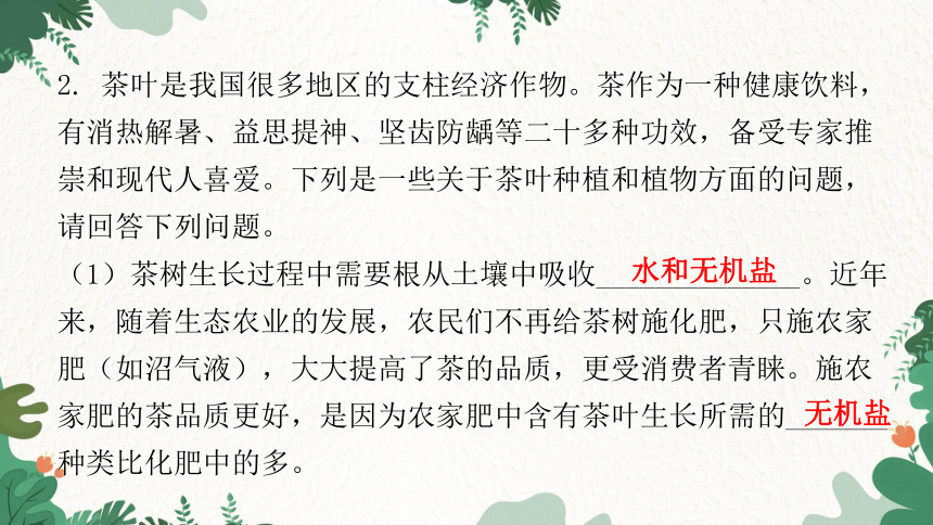 北师大版生物七年级上册 专项训练四综合应用习题  课件 (共17张PPT)