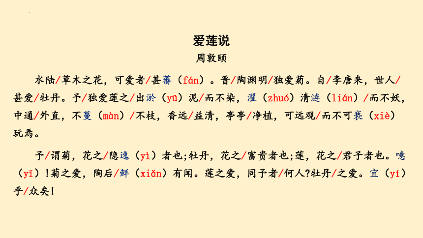 第17课《短文两篇 爱莲说》ppt课件（共26张）2022——2023学年七年级语文下册（部编版）