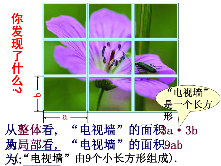 苏科版七年级数学下册课件：9.1单项式乘以单项式(共18张PPT)