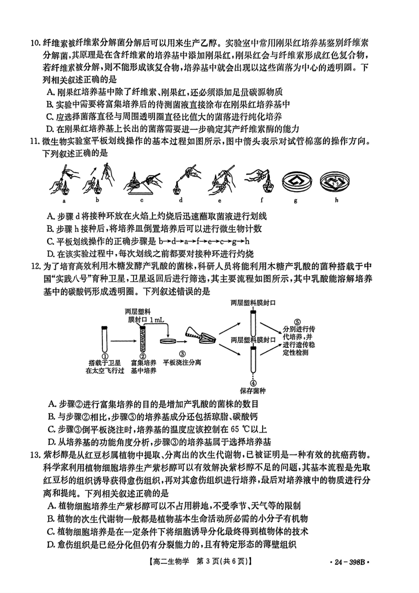 湖北省部分中学2023-2024学年高二下学期4月期中联考生物学试题（PDF版含答案）