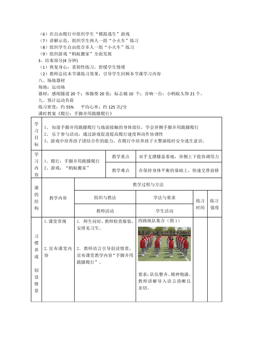 手脚并用跪膝爬行教（教案）体育一年级上册（表格式）