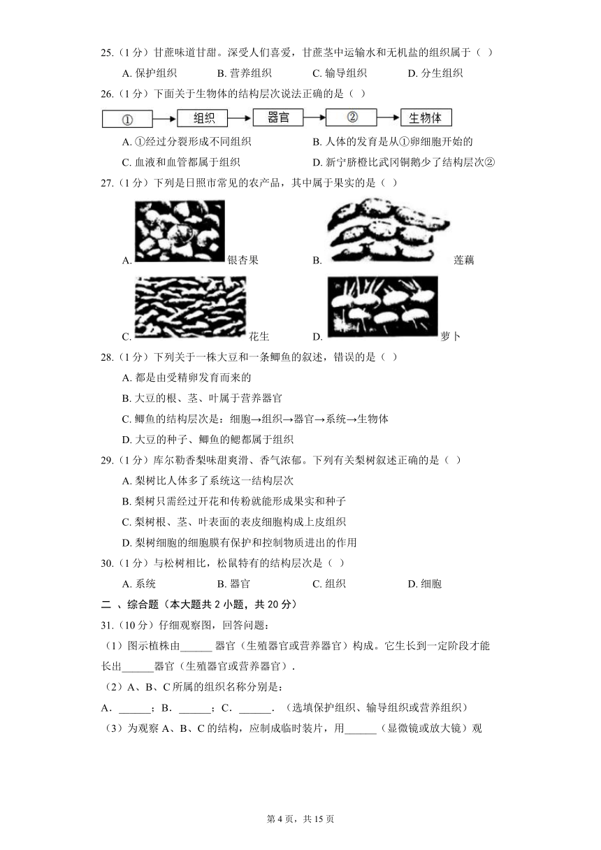 2.2.3 植物体的结构层次 同步精品练习 （含解析）人教版生物七年级上册