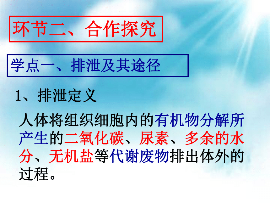 苏科版八上生物 15.2人体内废物的排出 课件(共20张PPT)