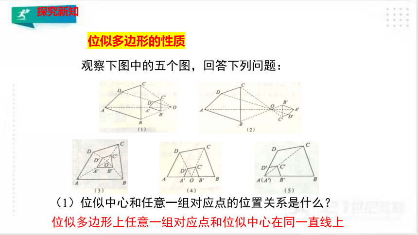 4.8.1图形的位似（1）（共26张PPT）