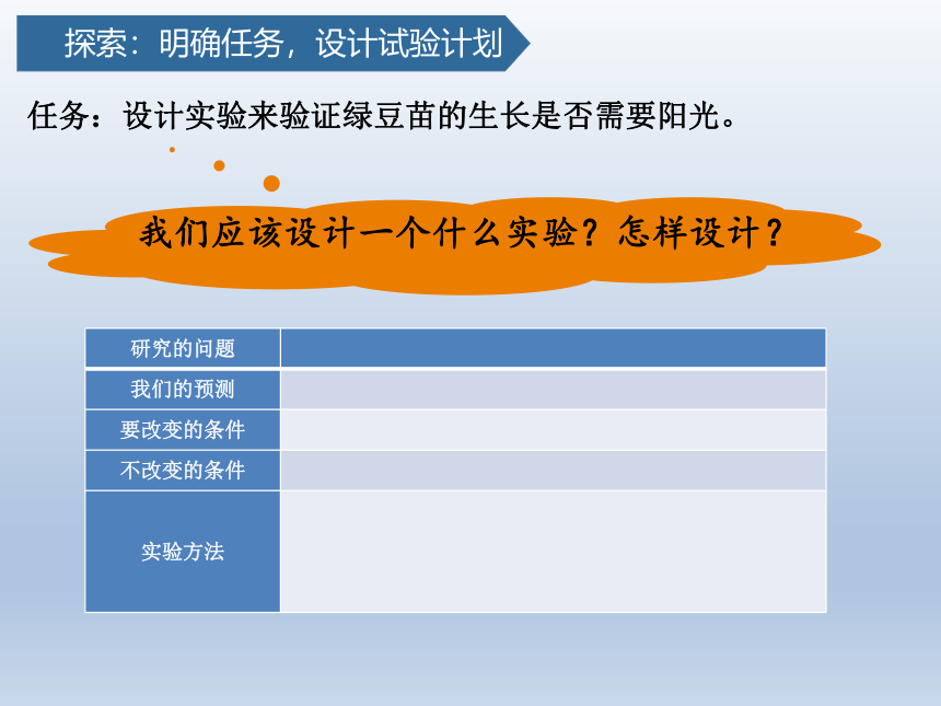 教科版（2017秋）小学科学2.3  五年级下册 绿豆芽的生长 课件  (共19张PPT)