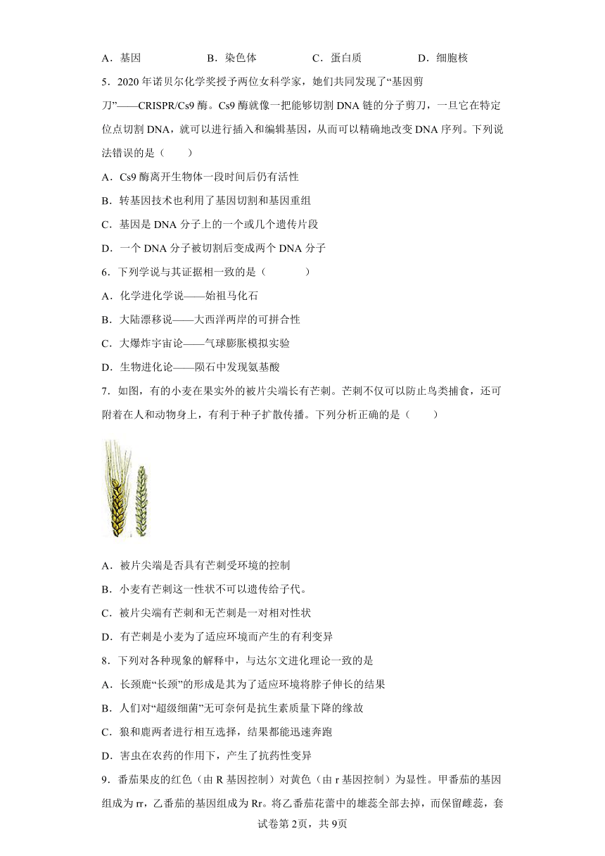 2022年浙江省中考科学专题练习：遗传与进化（含解析）