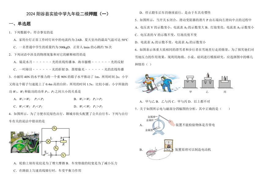 2024年山东省阳谷县实验中学九年级中考物理二模押题卷（一）（含答案）