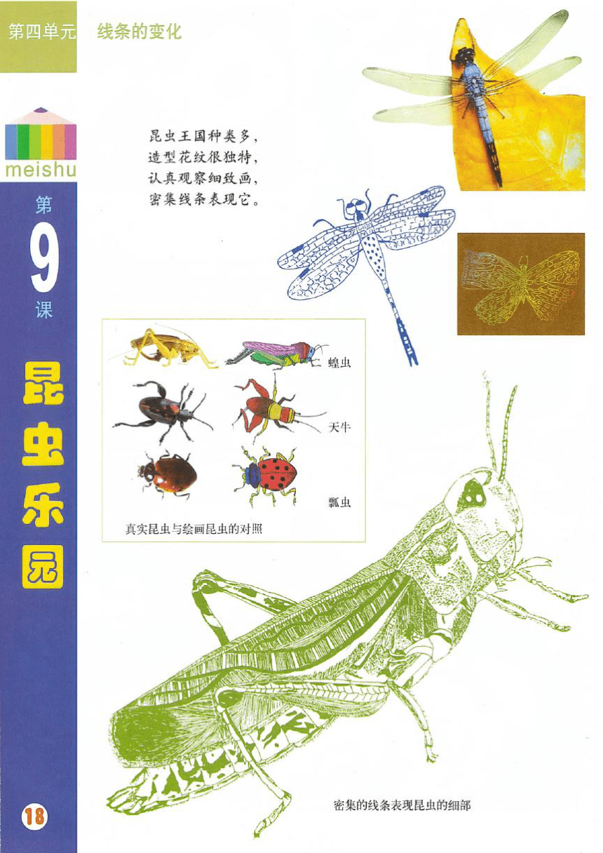 沪教版 二年级上册美术 第9课 昆虫乐园 教案