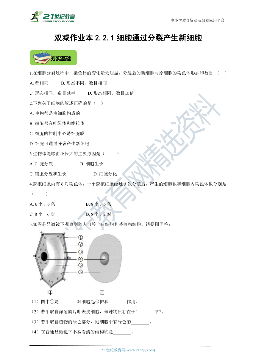 【双减作业本】人教版七上2.2.1细胞通过分裂产生新细胞（夯实基础+提升培优+选做选练）（含解析）