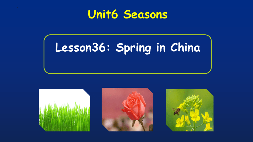 2021-2022学年冀教版七年级下册英语 Unit 6 Seasons Lesson 36 Spring in China 课件 (共20张PPT)