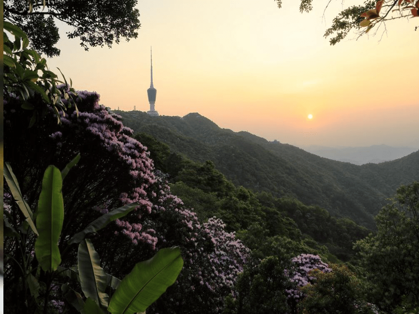 鲁教版（五四制）美术五年级上册 美丽的纹样（课件）(共20张PPT)