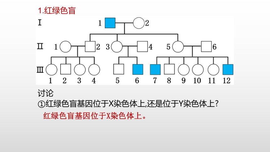 生物人教版（2019）必修2-2.3伴性遗传课件（共59张PPT）