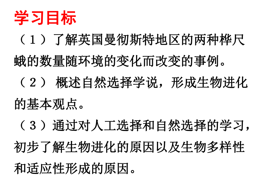 2020--2021学年济南版八年级下册5.1.4  生物进化的原因 课件(28张PPT)