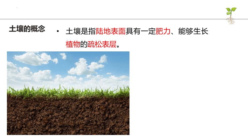 高中地理湘教版（2019）必修一5.2土壤的形成（共39张ppt）
