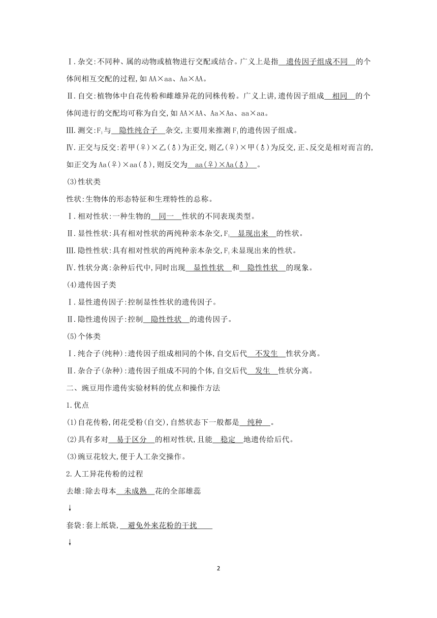 2023-2024学年高一生物人教版（2019）必修第二册 学案 1.1 第1课时 一对相对性状的杂交实验过程和解释