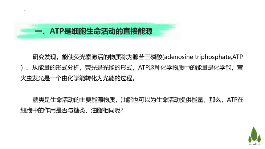 3.1  ATP是细胞内的”能量通货“课件（44张ppt，含1个视频）-高一生物学（浙科版2019必修1）