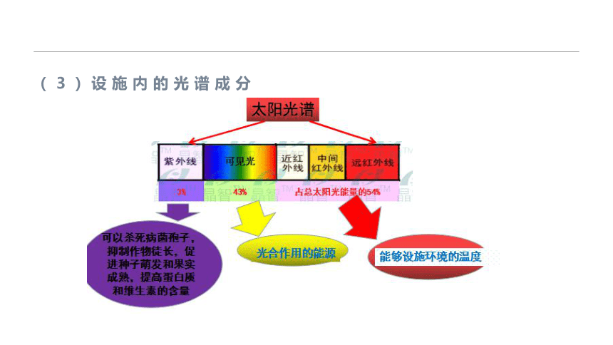 2.2.3设施环境的调控—光环境特点与调控 课件(共18张PPT)-《蔬菜生产技术》同步教学（中国农业出版社）