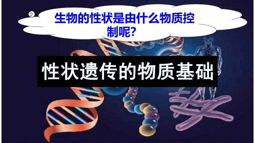 20.2性状遗传的物质基础课件(共32张PPT)2022-2023学年北师大版生物八年级上册