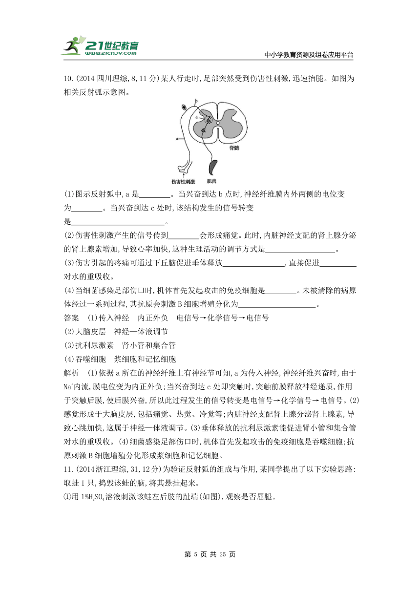 新人教一轮复习-10年真题分类训练：专题17 神经调节（Word版含解析）