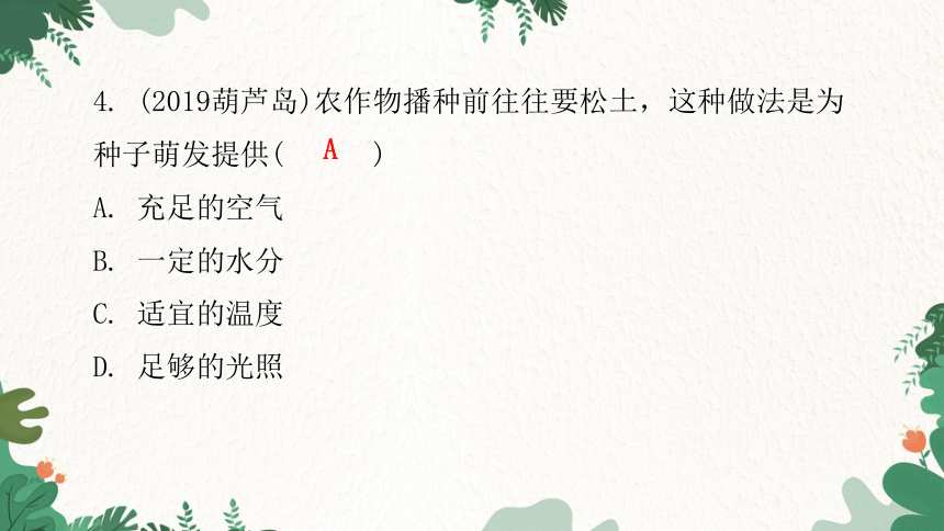 人教版生物七年级上册 第三单元生物圈中的绿色植物章末总结第二章被子植物的一生课件(共31张PPT)