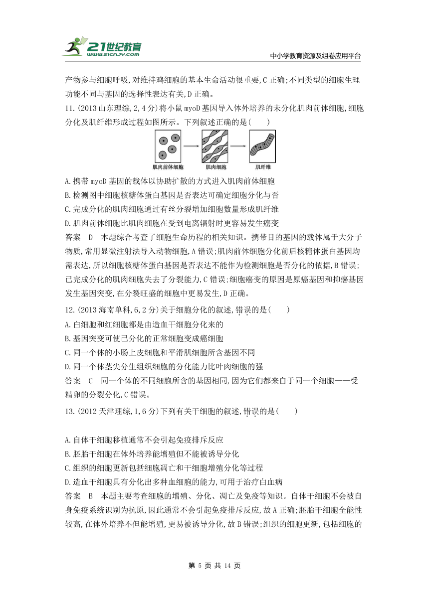 新人教一轮复习-10年真题分类训练：专题8 细胞的分化、衰老和死亡（Word版含解析）