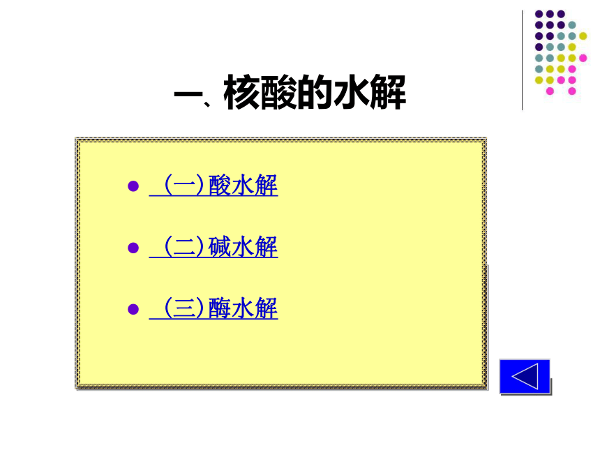 2020-2021学年高中生物竞赛核酸的物理化学性质课件 (36张PPT）