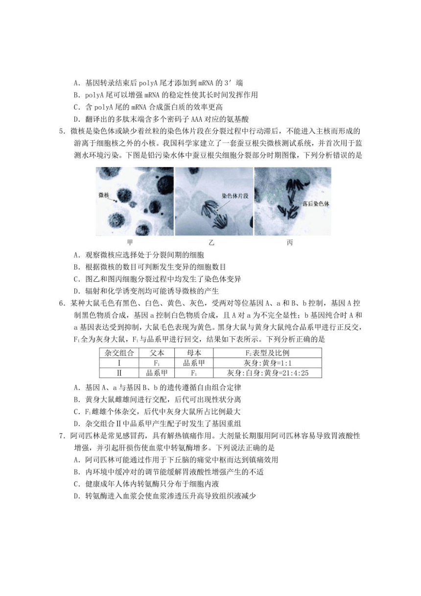 山东省烟台市、德州市2021-2022学年下学期高三一模生物试题 （PDF版含答案）