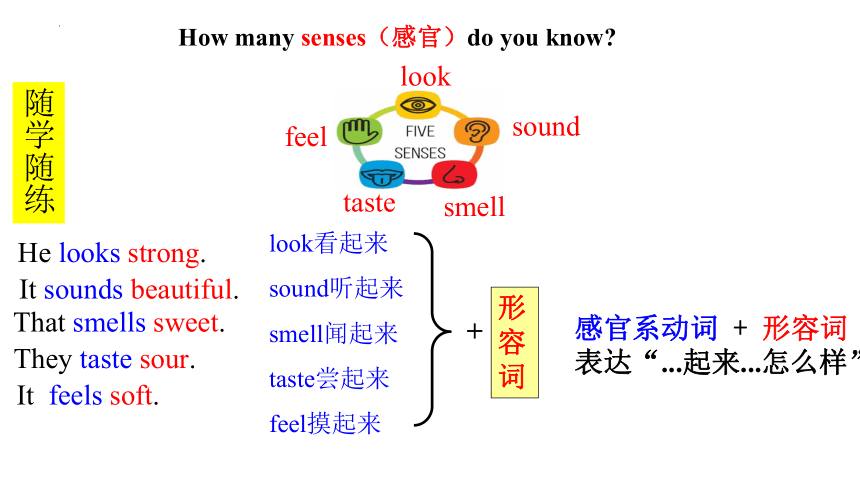 Module 1 Feelings and impressions  复习课件(共19张PPT)-2022-2023学年外研版英语八年级下册