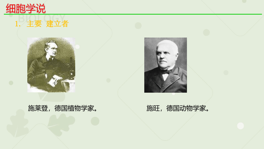 1.1细胞是生命活动的基本单位_新人教2019版必修1(共23张PPT)