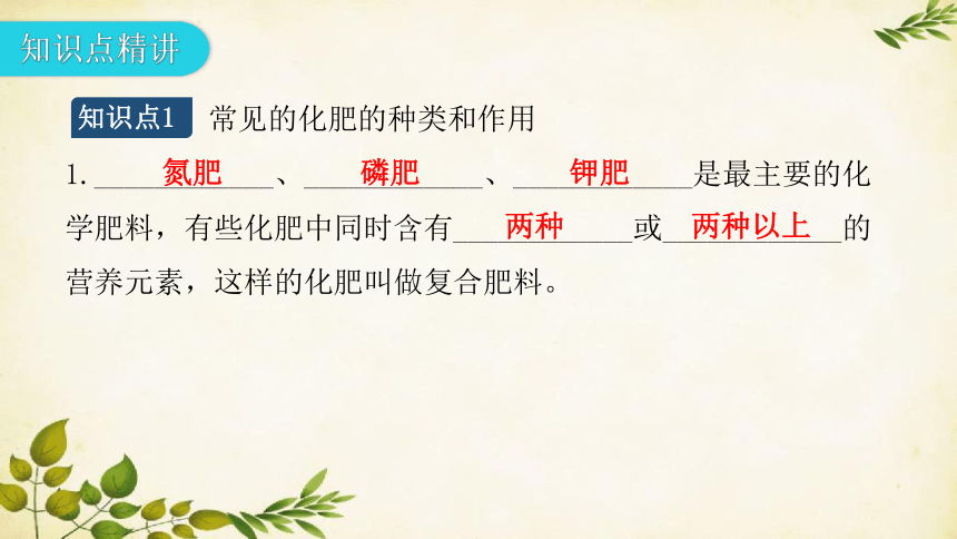 人教版九年级化学 第十一单元  课题2  化学肥料  课件(共26张PPT)