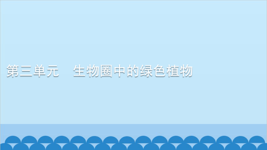 人教版生物七年级上册第六章爱护植被,绿化祖国习题课件(共20张PPT)