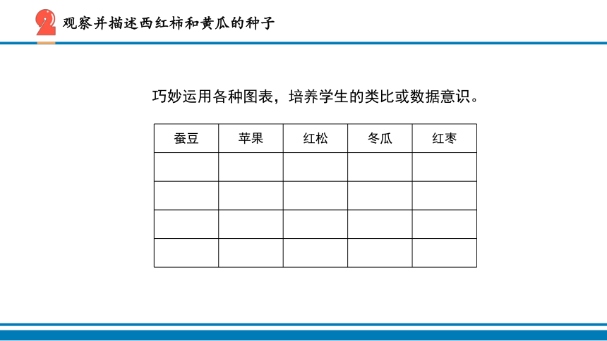 14.动物的繁殖 课件（10张PPT）