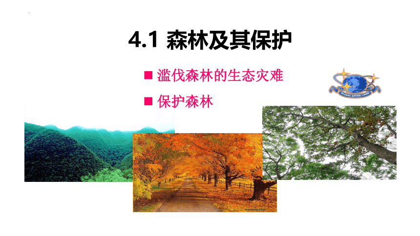 4.1森林及其保护课件（38张）