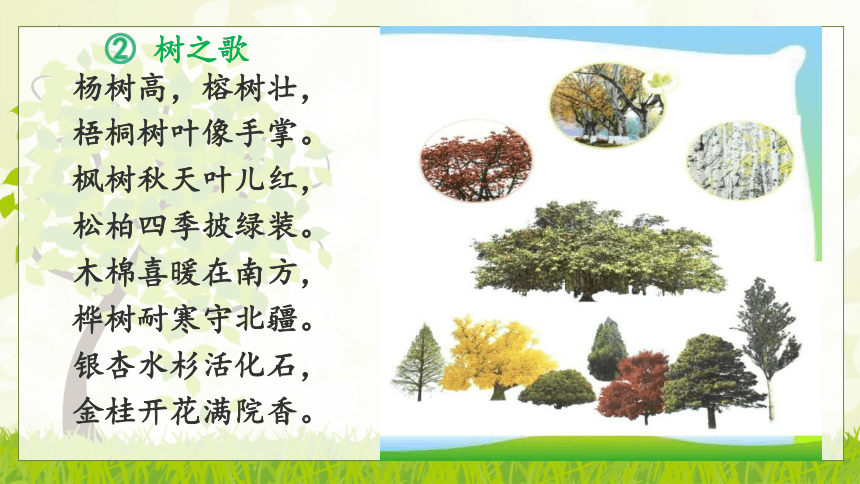 2树之歌（课件）(共41张PPT)