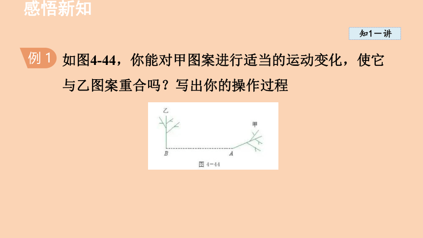 鲁教版（五四制）数学八年级上册4.4.1两个图形之间的变化  课件(19张ppt)