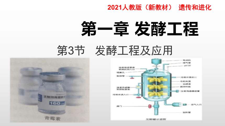 2020-2021学年人教版（2019）高二生物选择性必修三1.3 发酵工程及其应用 课件 （共32张ppt）