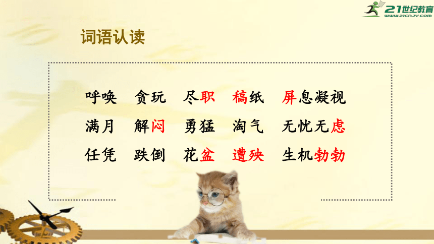 13.猫 上课课件（32张PPT）