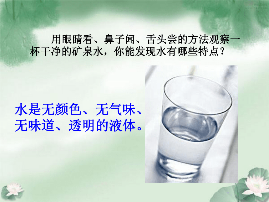 苏教版（2017秋）一年级下册科学课件-2.4 水是什么样的 (课件共14张ppt)