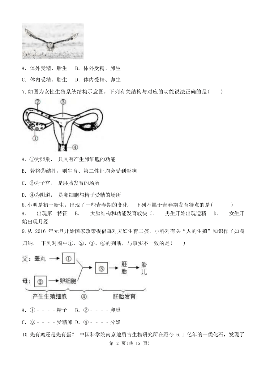 第6单元 动物和人的生殖与发育（含答案）