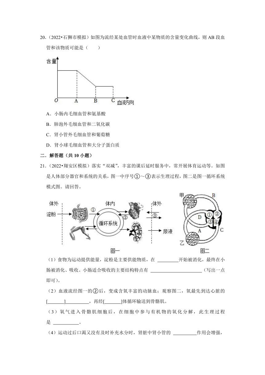 中考专题训练——5人体消化、循环、泌尿系统——2023年福建省中考生物（含解析）