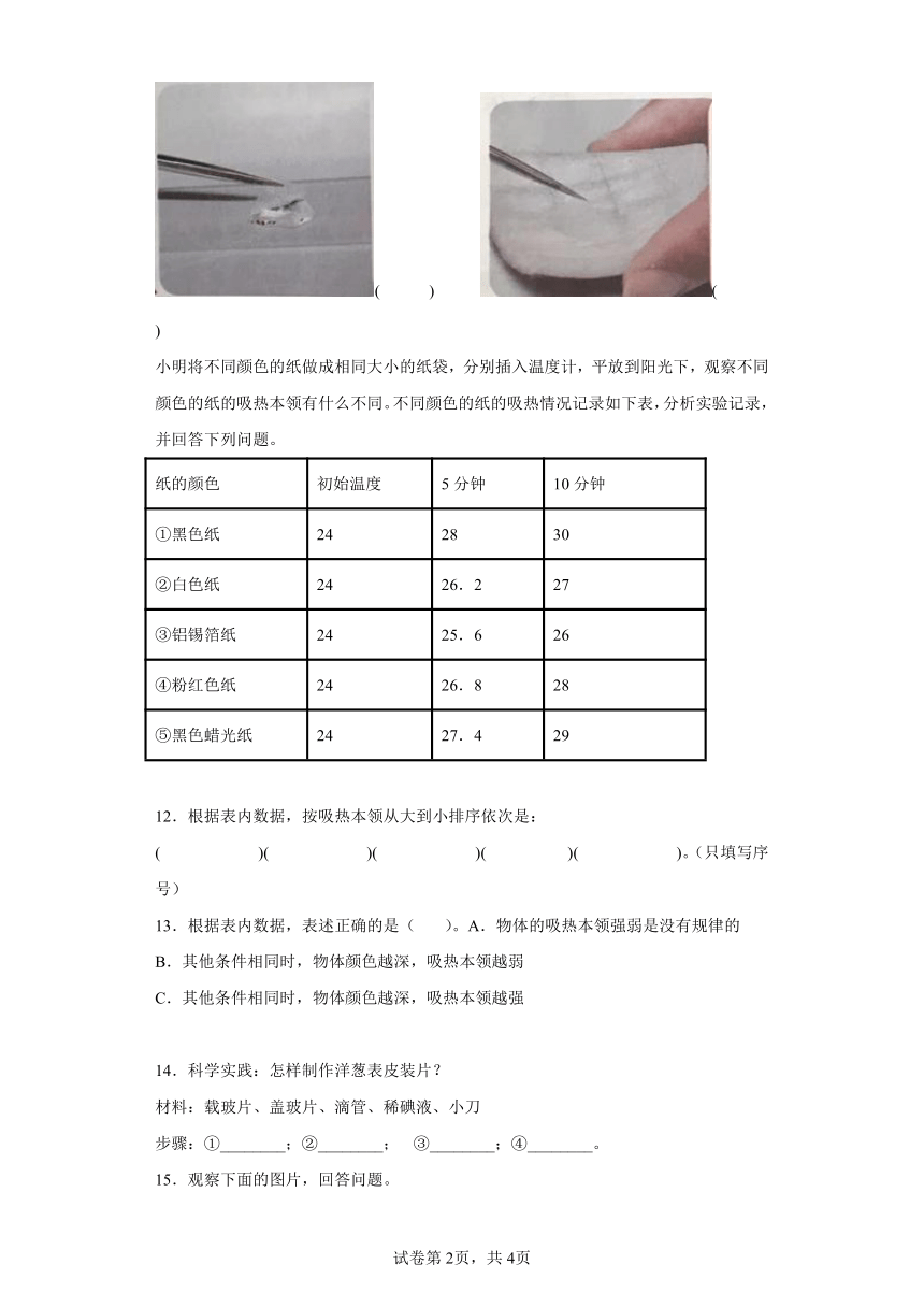 人教鄂教版（2017秋） 2022-2023学年五年级上科学期末综合练习（一）（含答案）