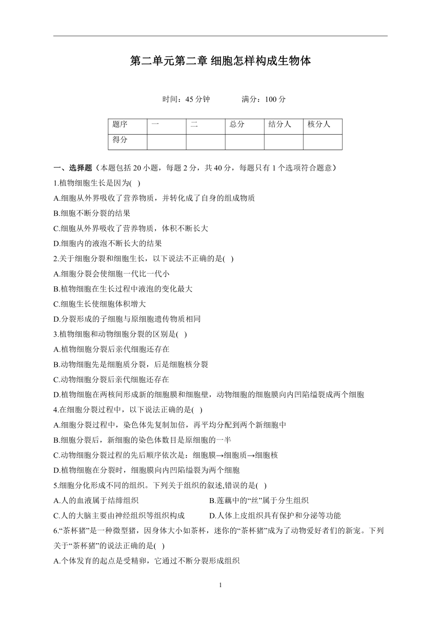 第二单元第二章 细胞怎样构成生物体2022-2023学年人教版生物七年级上册单元同步检测(word版含解析）