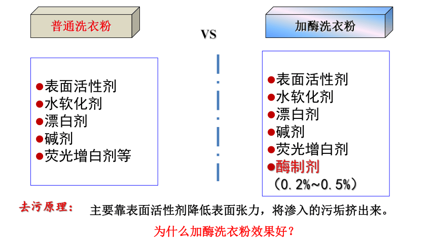 2020-2021学年高二生物人教版选修一专题4-2 探讨加酶洗衣粉的洗涤效果 (24张)