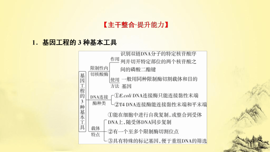 新人教生物二轮复习课件16 基因工程(课件共42张PPT)